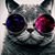 Donald Albo's profile image