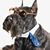 John Saunders's profile image