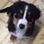 Sandy Malac's profile image