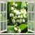 Jeanne Castiglia's profile image