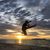 Tuyen Pham's profile image