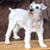 Darla Starns's profile image
