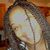 Detroit Princess Gray's profile image