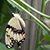 Ravi Ponnapureddy's profile image