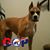 Mark Fornof's profile image