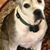 John Bartorelli's profile image