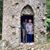 Deleen Riley Wills's profile image