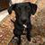 Darin Divinia's profile image