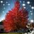 Kimberly Killeen's profile image