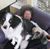 Kathy Watson's profile image