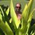 Mike D'Aloia's profile image