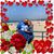 Cenovio Ascencio's profile image