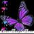 Teresa Johnson's profile image