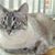 Wendy Cunningham's profile image