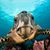 Cynthia Dunsmore's profile image
