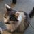Carmen Torrero's profile image
