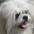 Barbara Possinger LaBar's profile image