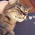 Amber Janice Ann Johnson's profile image