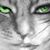 Teresa Endreshak-Crawford's profile image