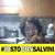 Debora Mattioli's profile image