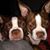 Shannon Goding's profile image