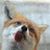 Stacy Louis's profile image