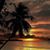 Judy Pagliaro's profile image