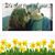 Denise Kassab Defalcis's profile image