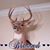 Cindy N Charles Rivet's profile image