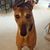 Pam Kaus's profile image