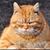 Paul Nichols's profile image