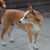 Jane Olson Fletcher's profile image