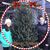 Sue Ferrara Sheehan's profile image