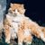 Lisa Bauer Baker's profile image