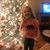 Amanda Earley's profile image