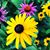 Michelle Mann Farrer's profile image