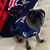 Josh A. Doody's profile image