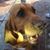 William Conrad's profile image