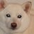 John Tebow's profile image