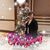 Lori Burba's profile image