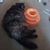 Priscilla Stewart's profile image