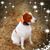 Linda Bottoms's profile image