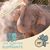 Brenda Sheen Wear's profile image