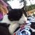 Laura Butterfield's profile image