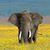 Jerry Warmath's profile image