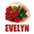 Evelyn Valle's profile image