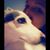 Katie Lynn Brengle's profile image