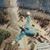 Carroll Shuff's profile image