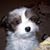 Randy Rowe's profile image