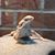 Carolyn Calabrese Mondlock's profile image